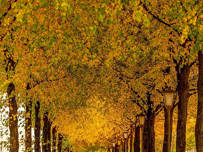 Perspektiven (Auftragsarbeit)